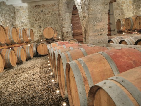 chateau dollieres 5